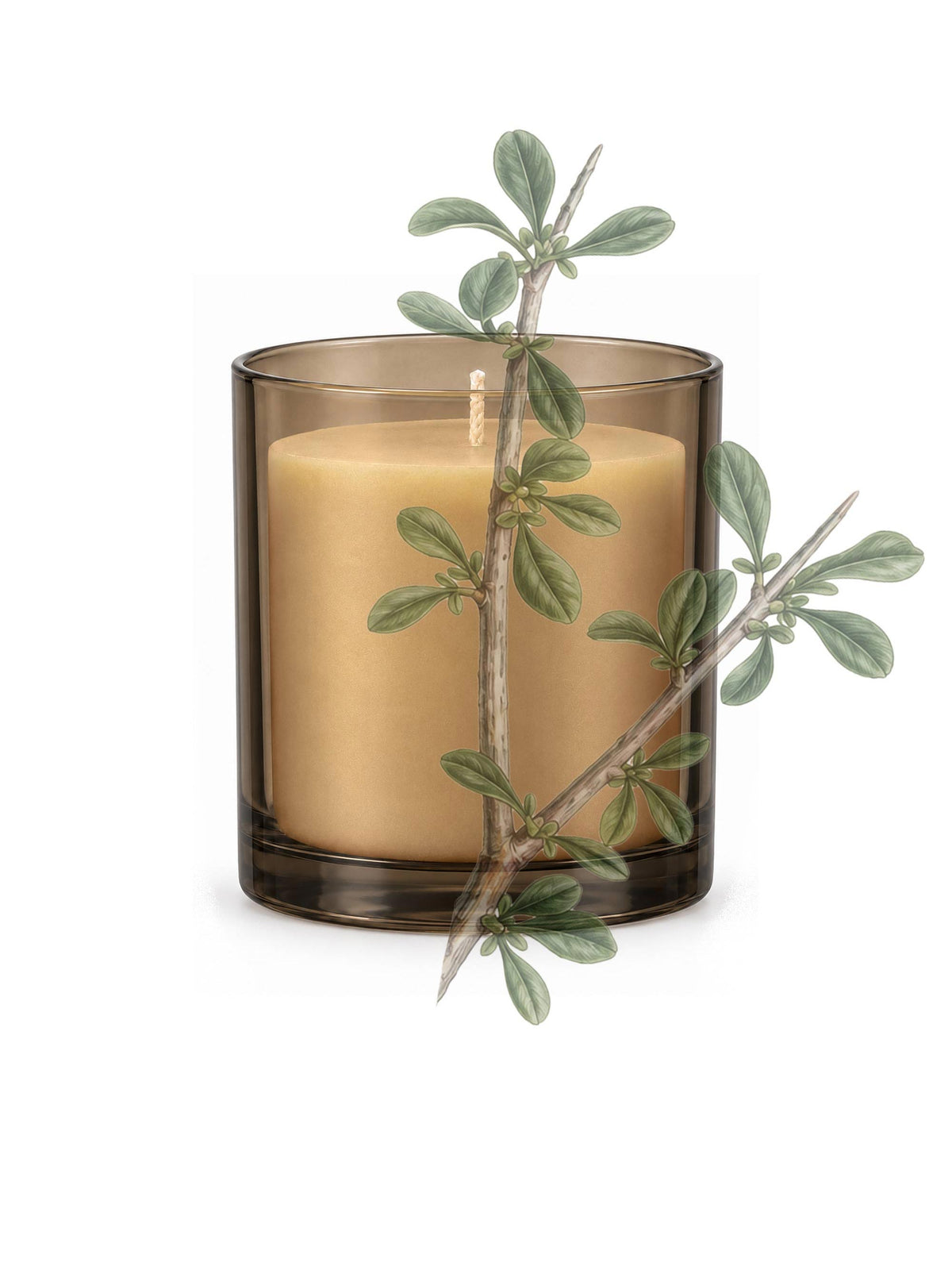 Marina's Candles Myrrhe